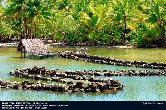 Photo from Tahiti Tourism 